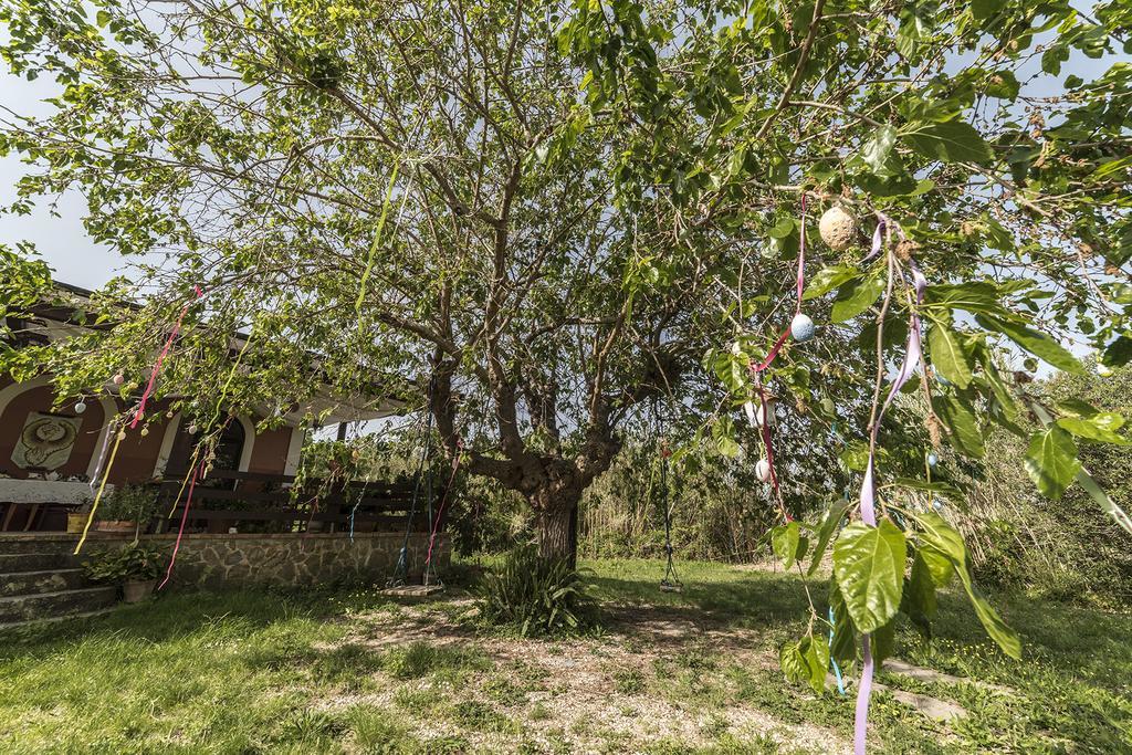 Country House Araba Phoenix Castellabate Extérieur photo